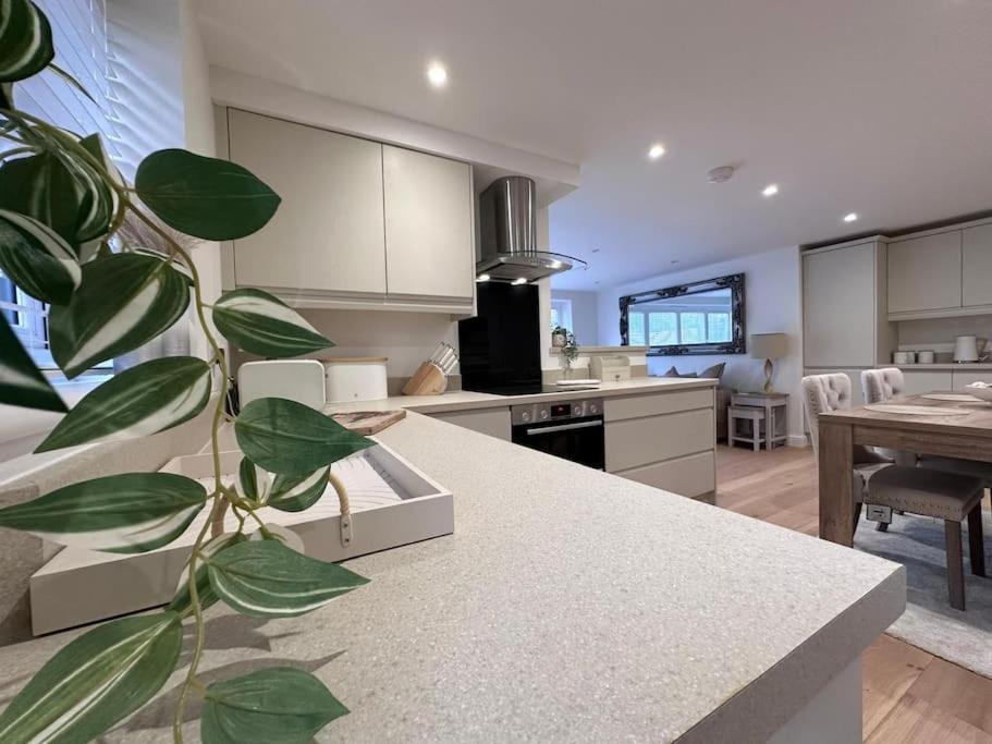2Bed Ground Floor Flat + Garden Appartement Sunningwell Buitenkant foto